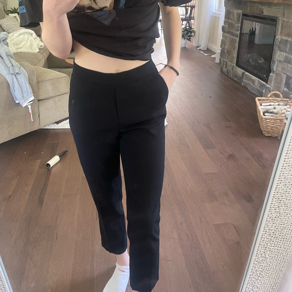 Babaton Dress Pants